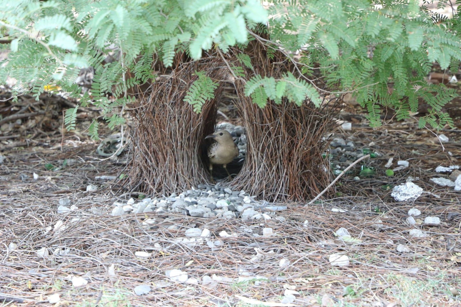 Hiding Place