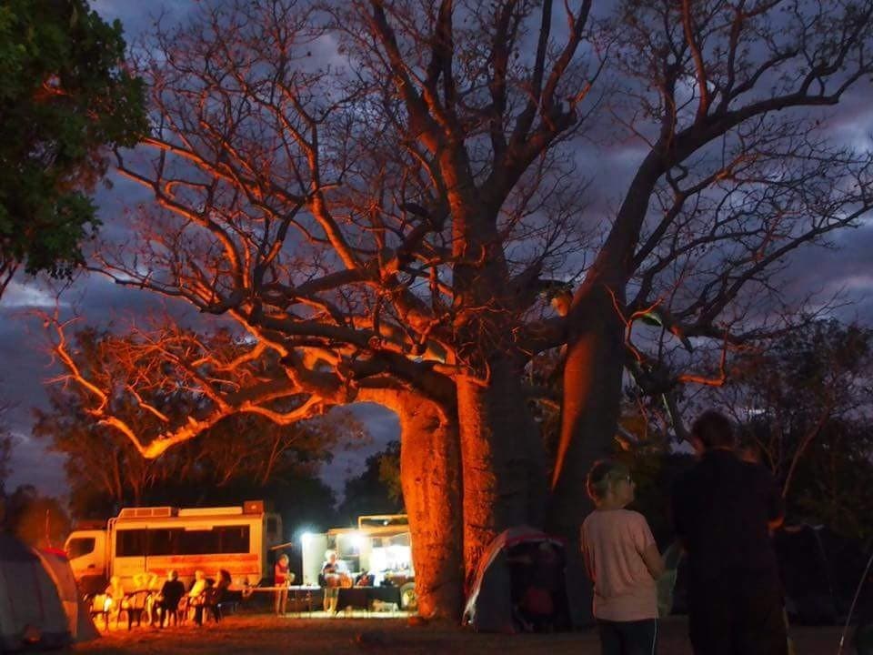 Manning River Camping