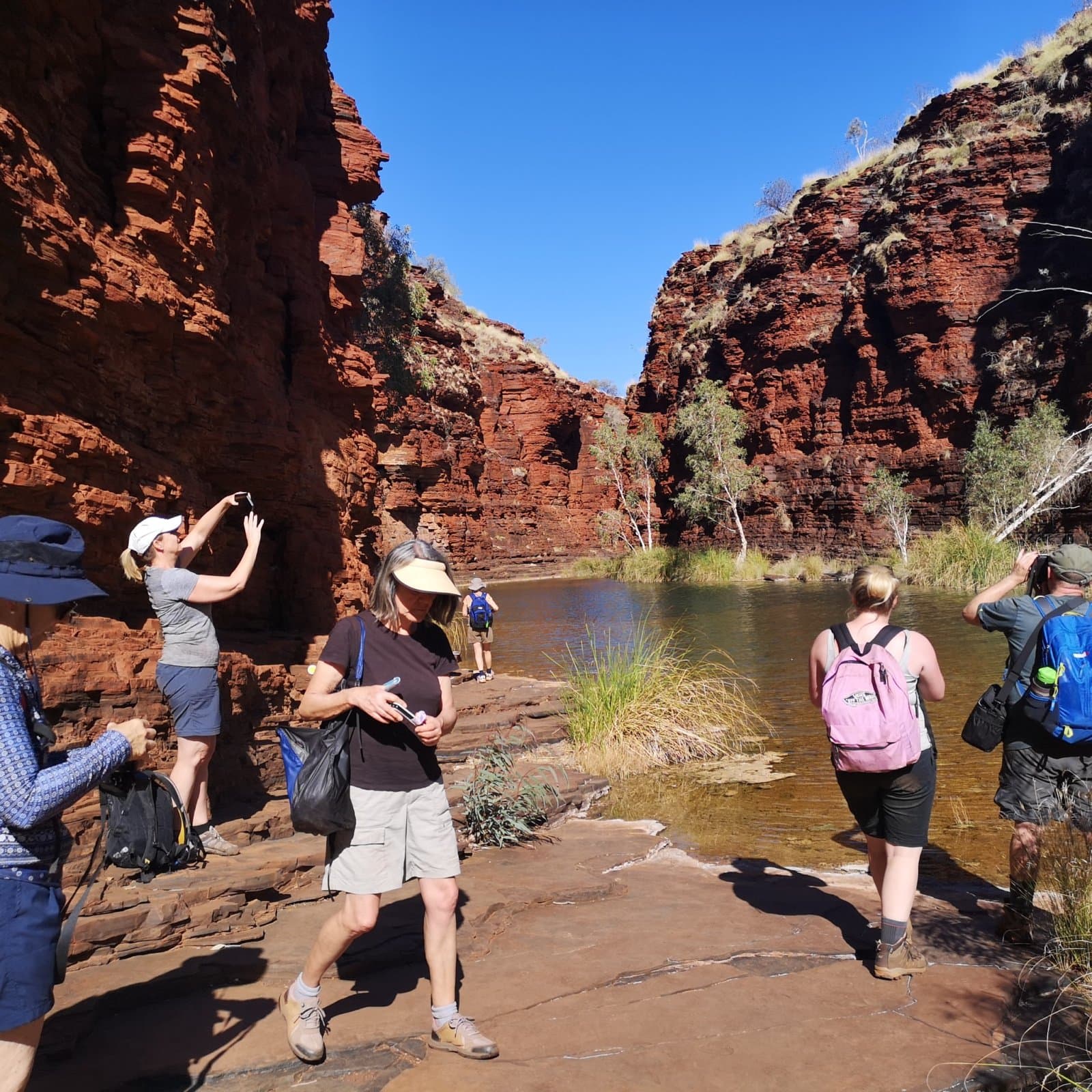 Kalamina Gorge Walk