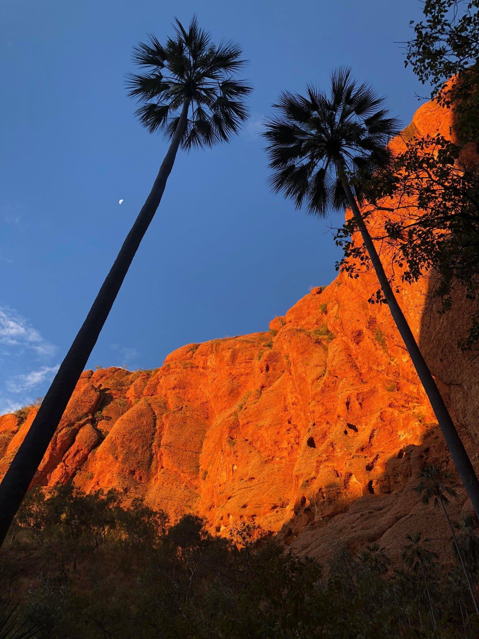 Photograph from Kimberley Camping Season Has Begun