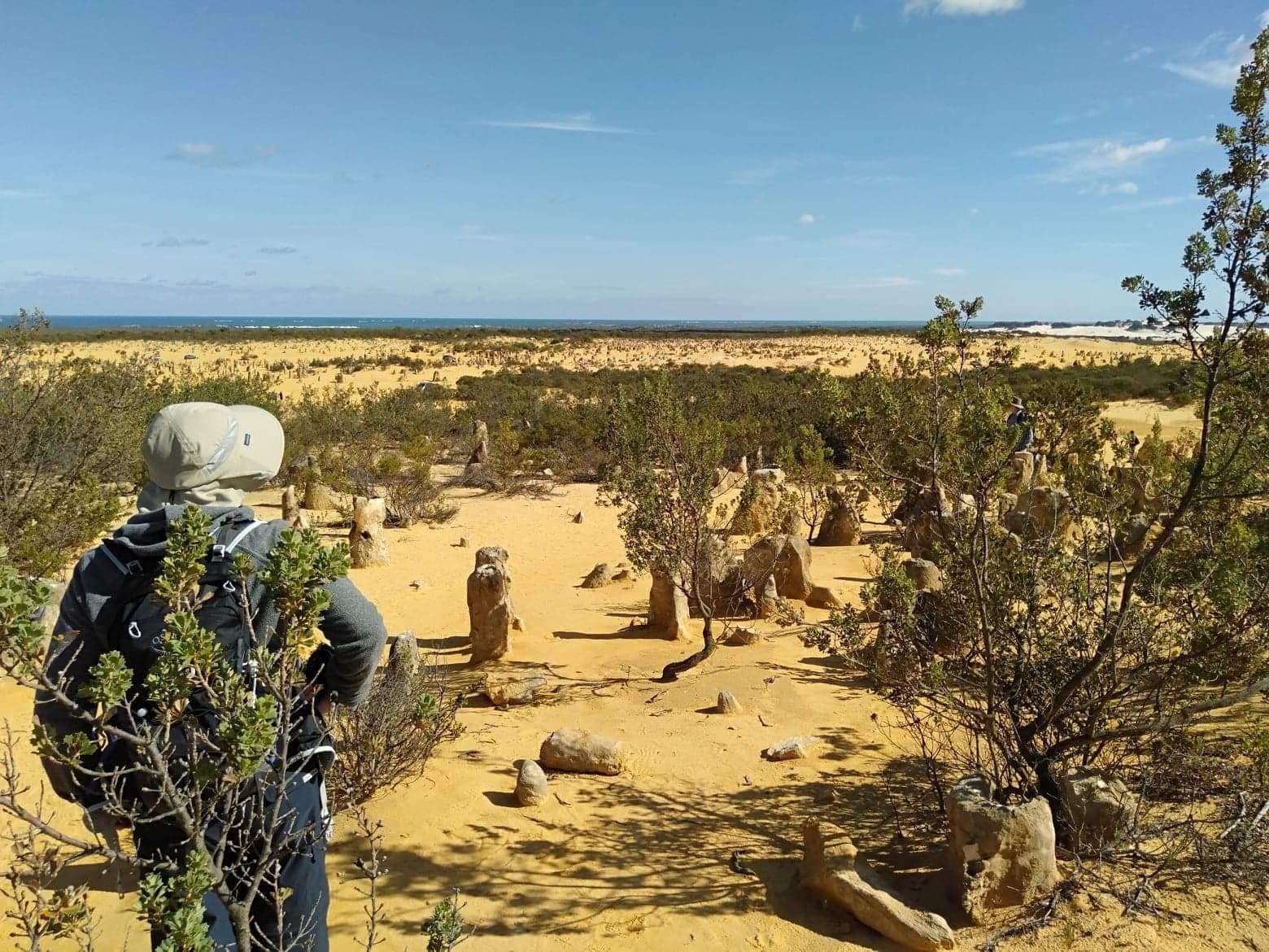 Pinnacles Desert