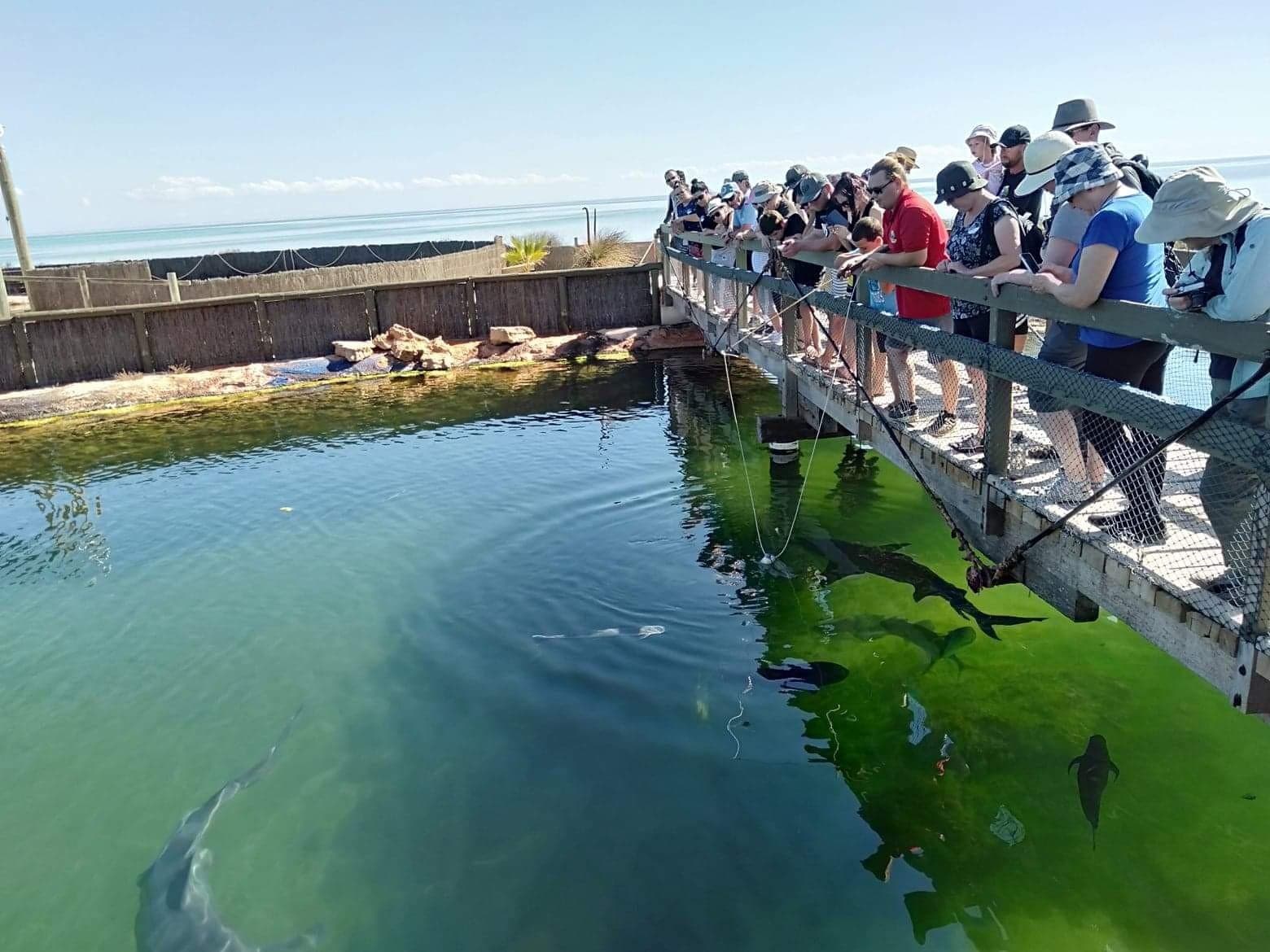Ocean Park Aquarium