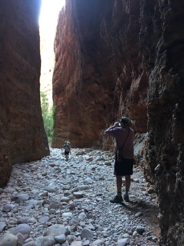 Echidna Chasm