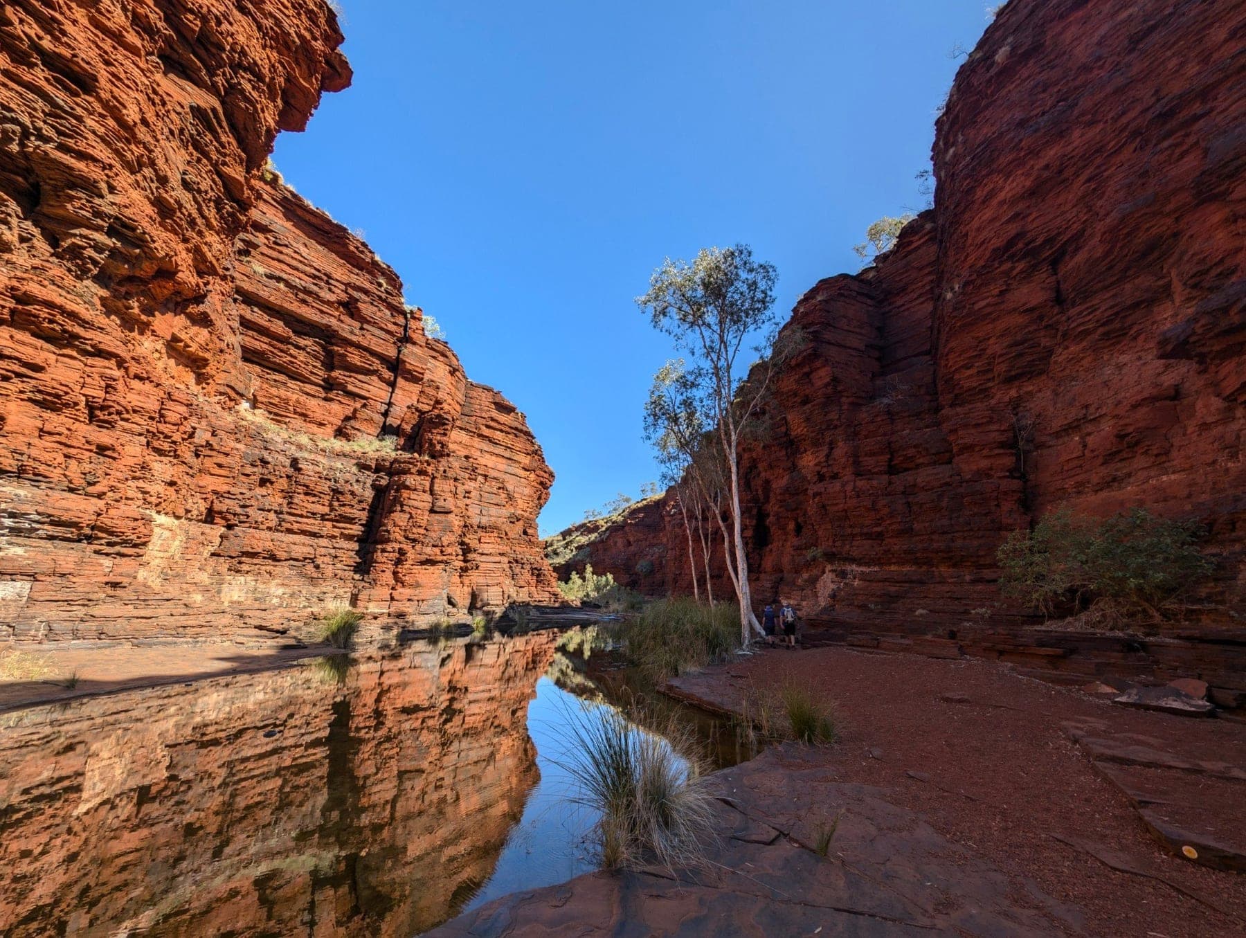 Towering red banded gorge walls reflected in a still pool, with a white gum and two walkers, in Karijini