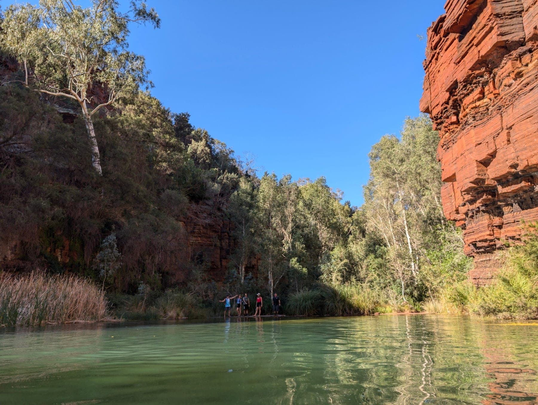 Red rock walls of a Karijini gorge