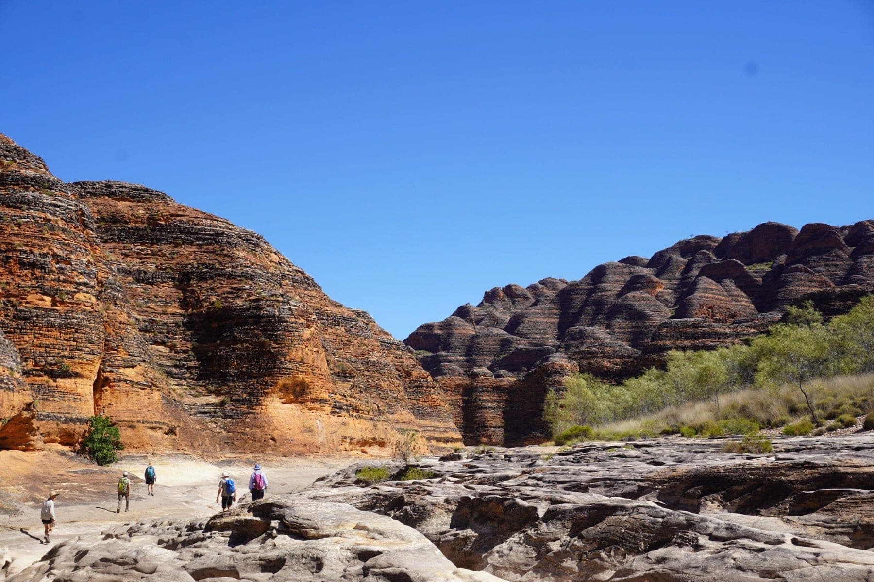 Hikers navigating a wide dry creek bed between striking orange cliffs at Purnululu