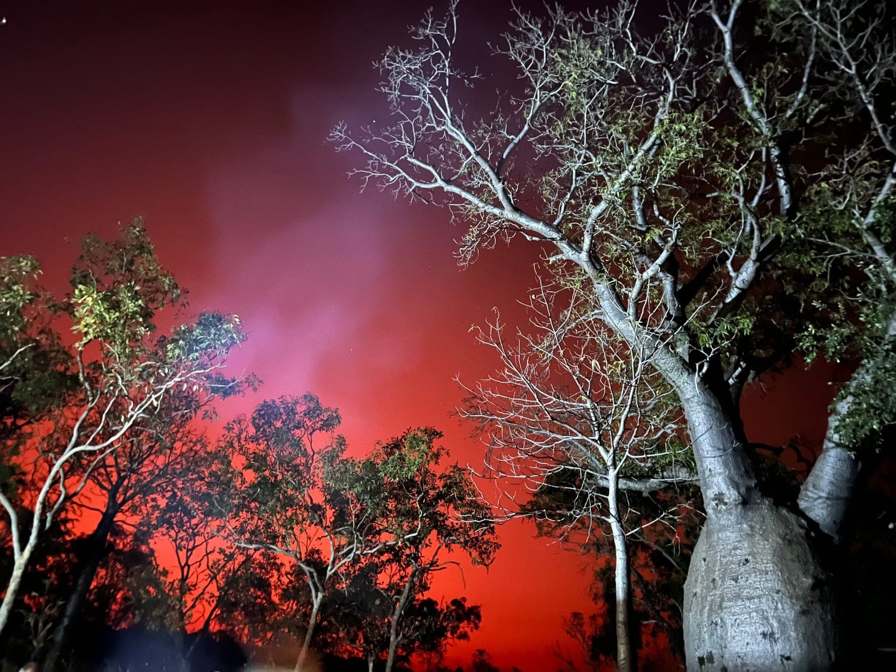 Guests gathered around a campfire under a Kimberley sunset