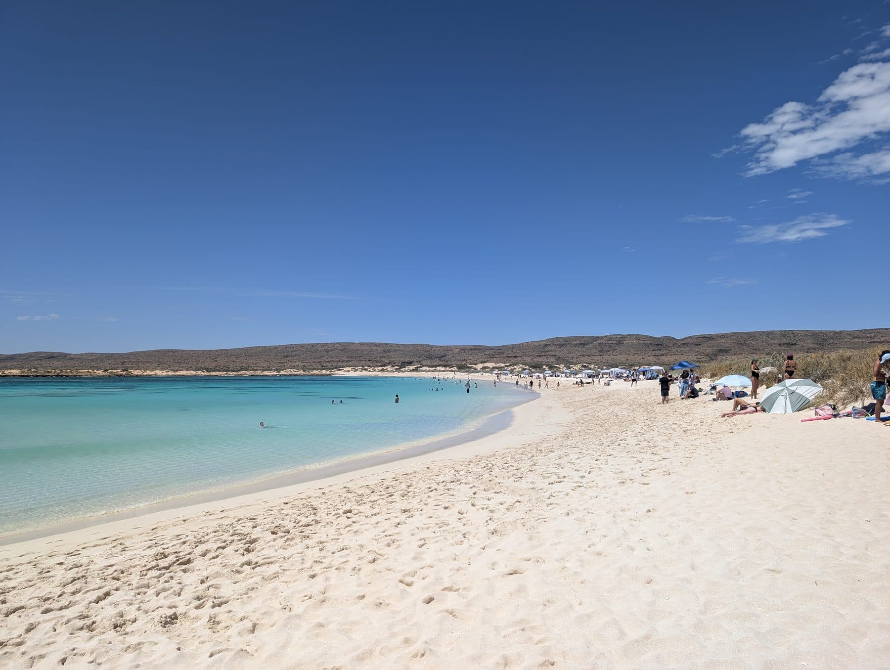 Swimmers in clear turquoise water off a long white beach on the Ningaloo coast