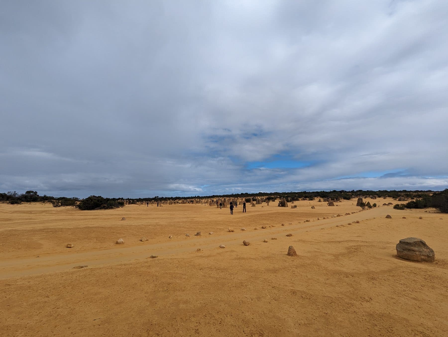 Walkers among the limestone pillars scattered across the yellow sand of the Pinnacles Desert