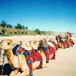 Camel Rides on Cable Beach